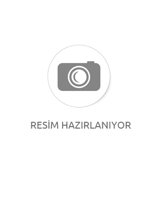 YAĞLI SELE SİYAH ZEYTİN